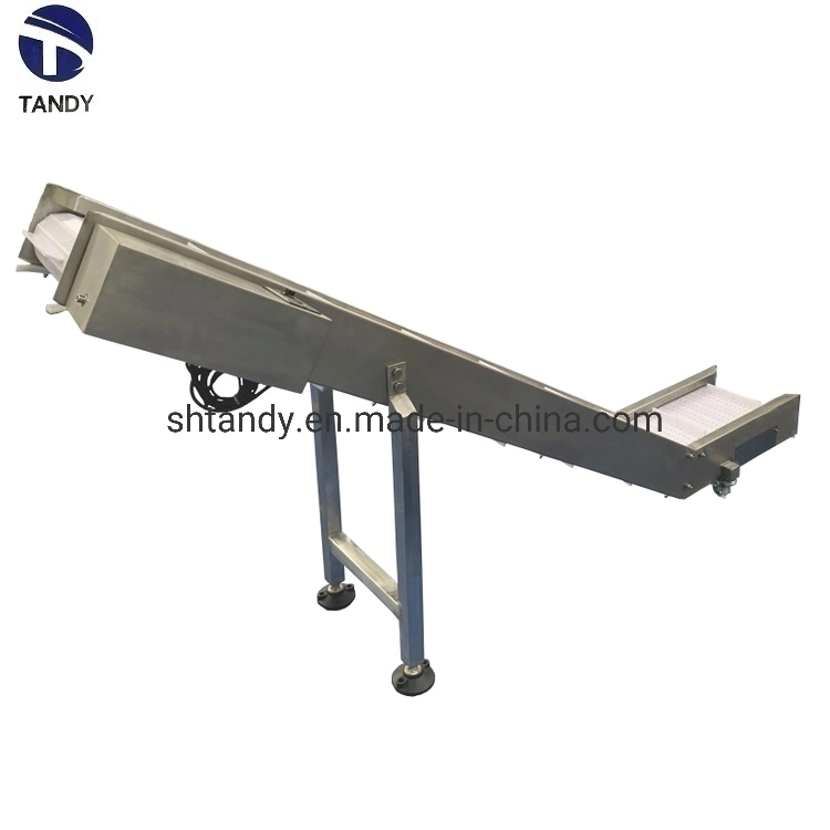 Food Packing Line Chain Slat Conveyor/Curve Conveyor/Conveying Equipment