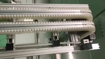 Food Packing Line Chain Slat Conveyor/Curve Conveyor/Conveying Equipment